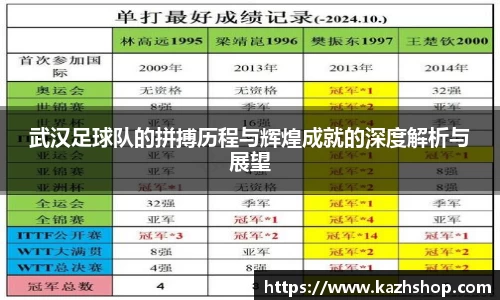 武汉足球队的拼搏历程与辉煌成就的深度解析与展望